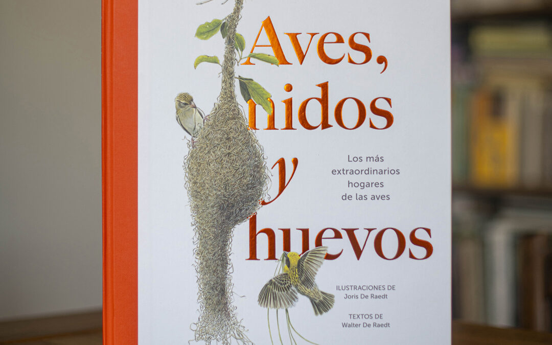 Aves, nidos y huevos