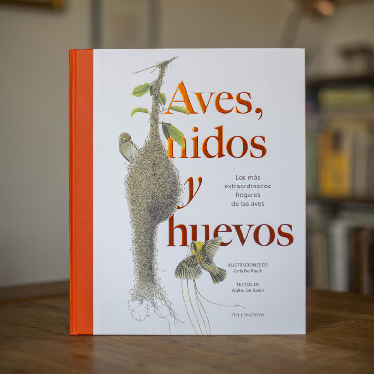 Aves, nidos y huevos